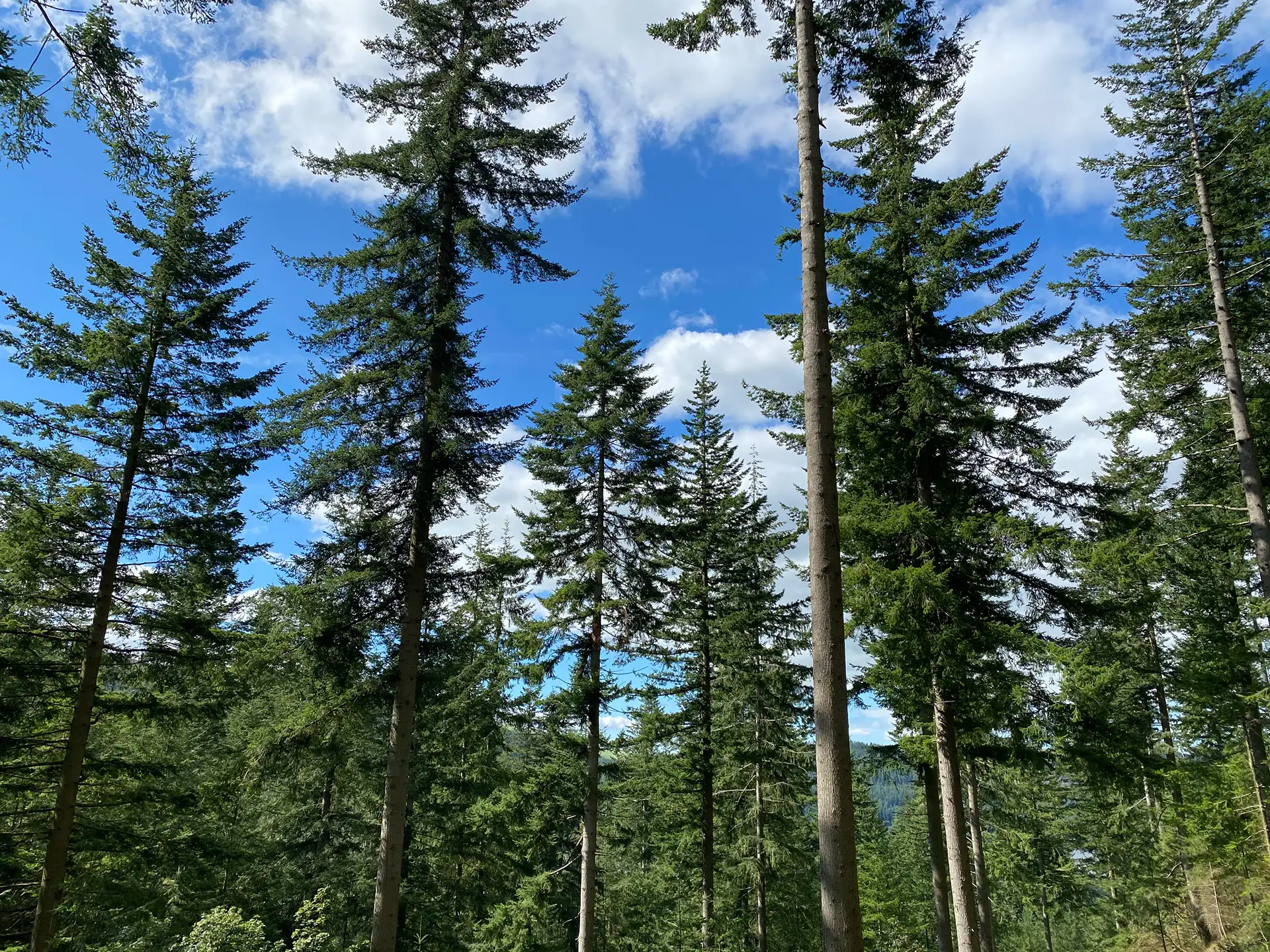 What electric hookup actually means on a campsite