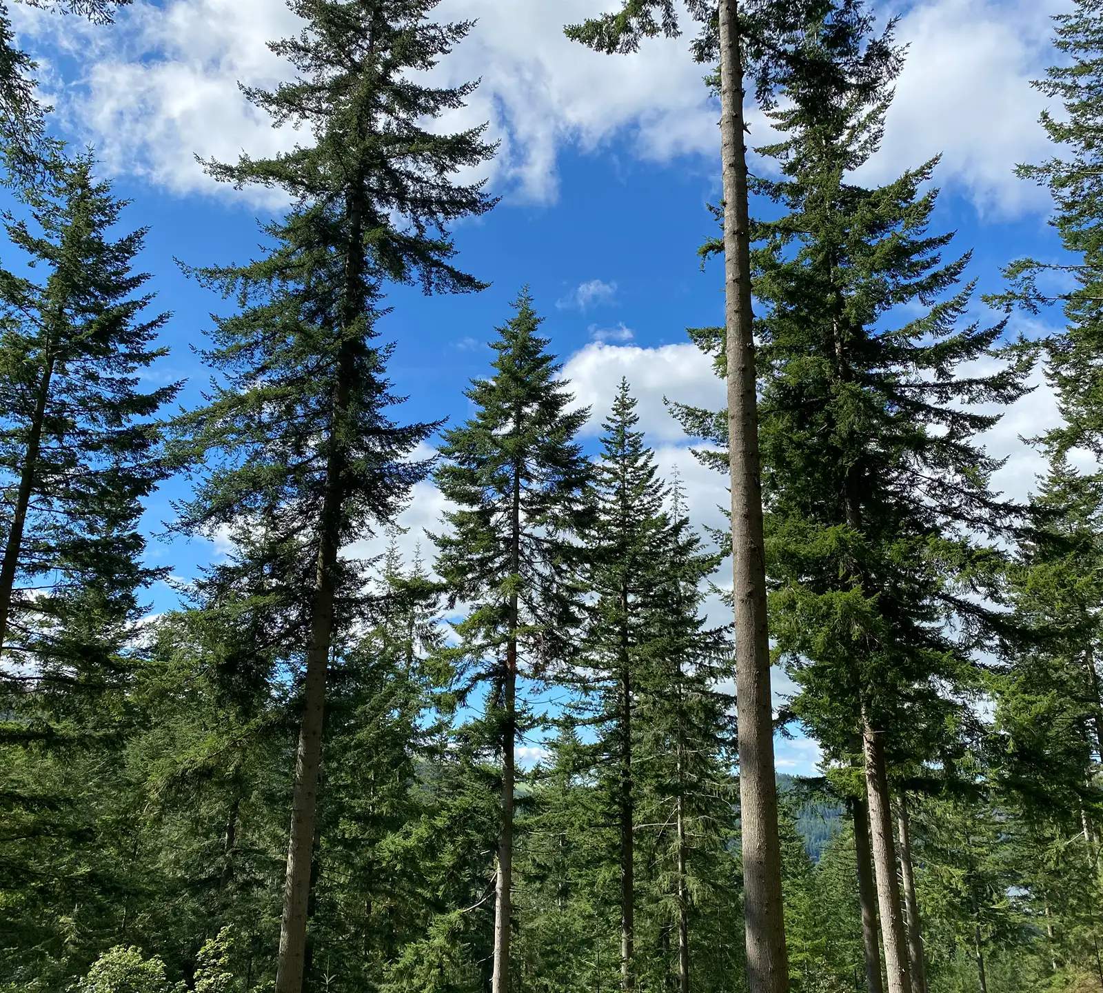 What electric hookup actually means on a campsite