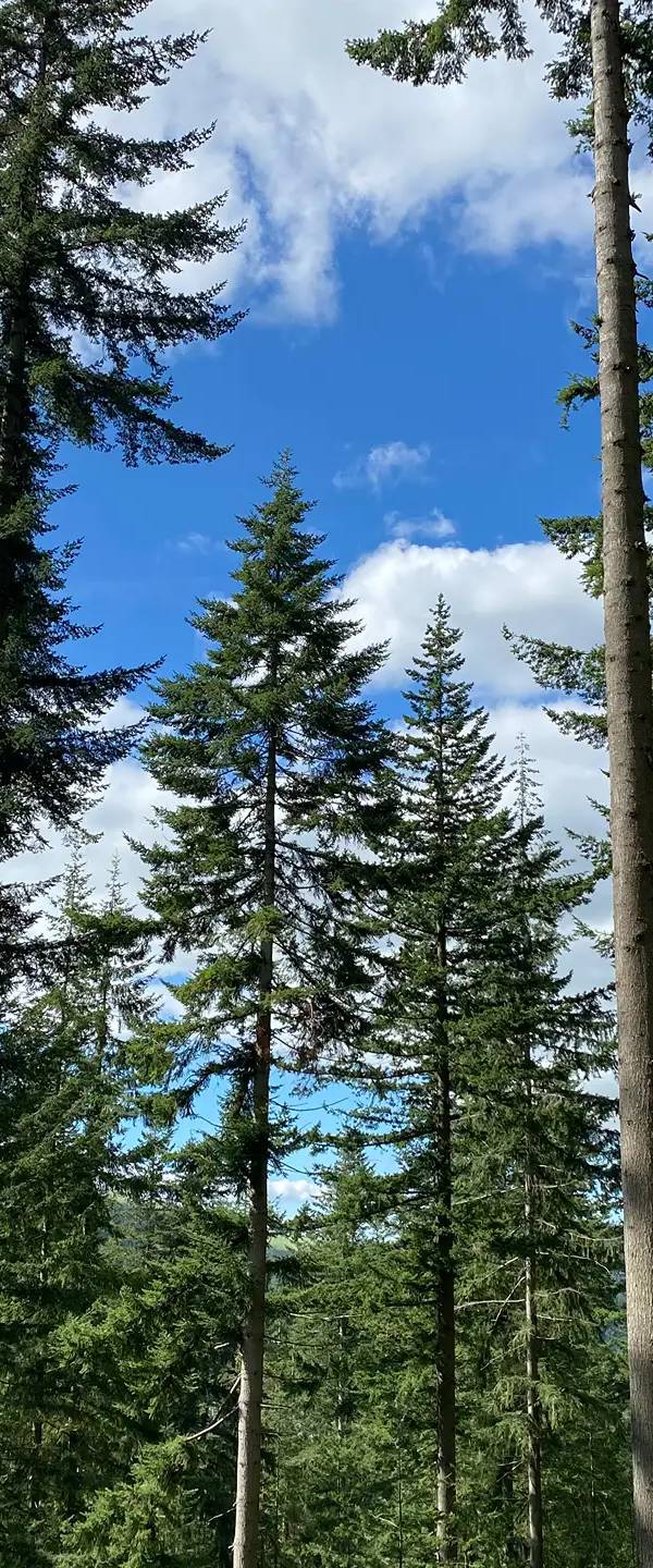 What electric hookup actually means on a campsite